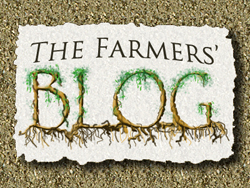 Blog link for A Place on Earth CSA Farm